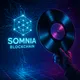 Somviny