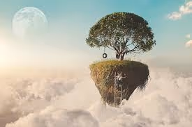 dreams tree