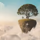 dreams tree