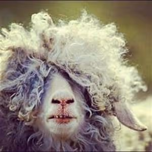 Adrenaline-fueled leaps