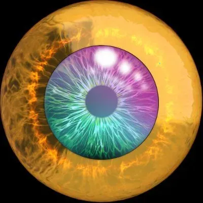 Eye
