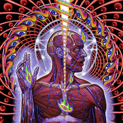 Tool