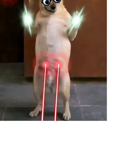 Doggo 