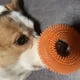 Ritual Kiki