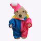 Doggy