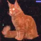wen