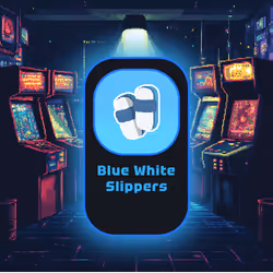 BlueWhiteSlippers