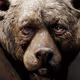 AngryBear