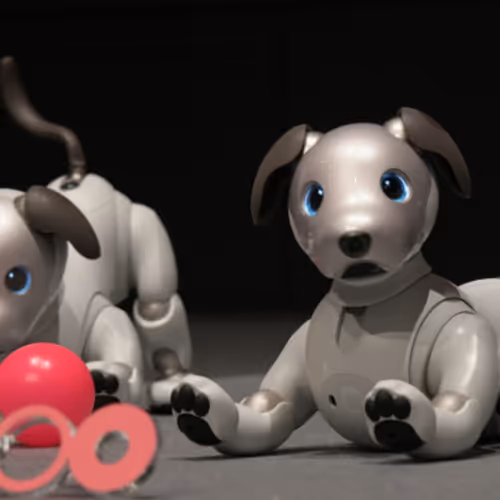 Aibo Robot  Soneium  Pet Maskot