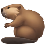 Bobr