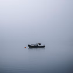 41kjuifd