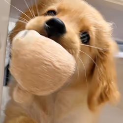 dfghj