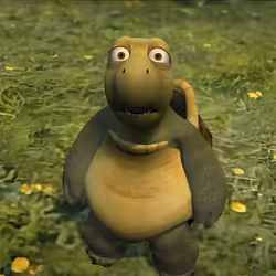 shock turtle