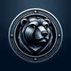 bear son