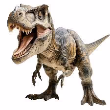 rex