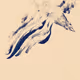 fly