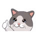 meow soneium