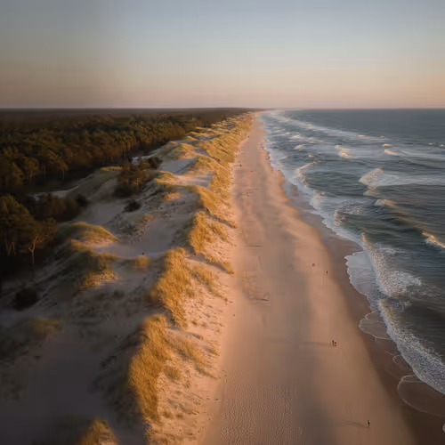 Baltic Sands