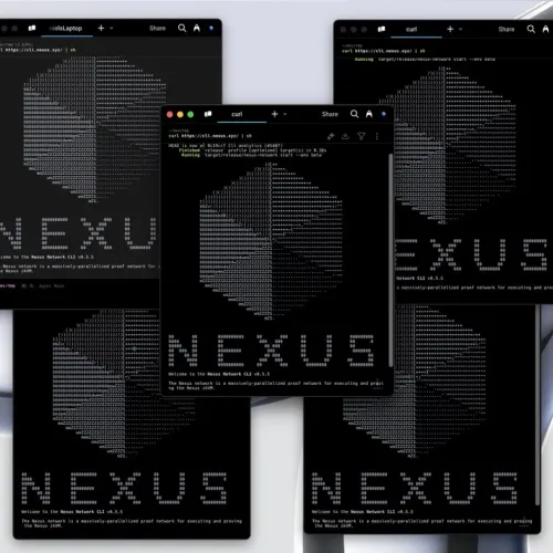 NEXUX