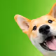 0x31a9b40287fc2b94701d05bb0165a52d7db3cbdb