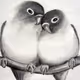 love birds