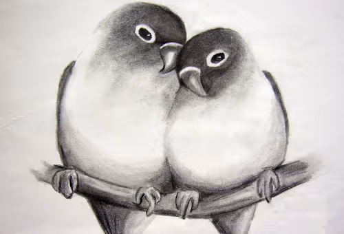 love birds