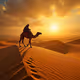 Life in the Sahara