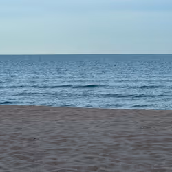 The SEA
