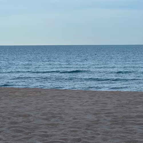 The SEA