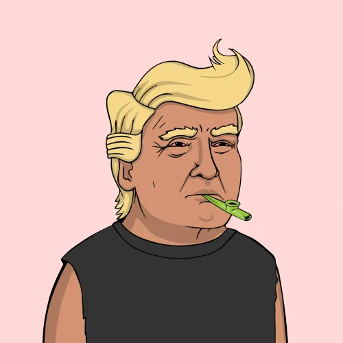 President Trump 2024 #8578