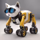 RoboCat