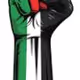 FREE GAZA