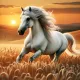 horse