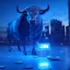 Bullrun
