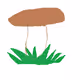bay bolete