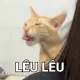 Quickqa