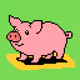 piggy