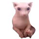 ggh