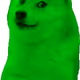 Pepe Doge