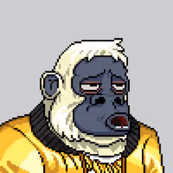 Bored Gorilla Yacht Club #2704