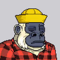Bored Gorilla Yacht Club #1062