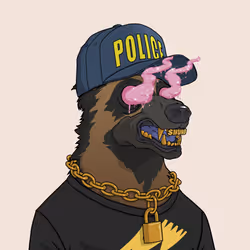 2594
