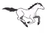 Clash Horse Skins