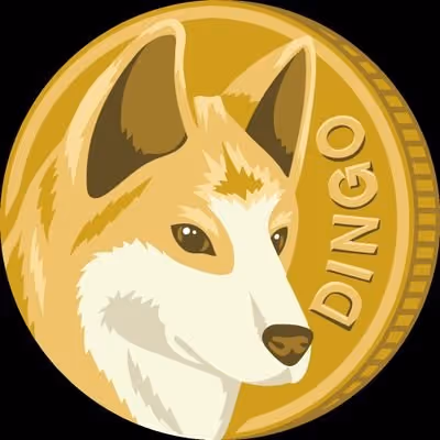 Dingo