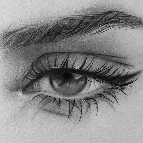 Eye