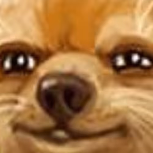 DogFace
