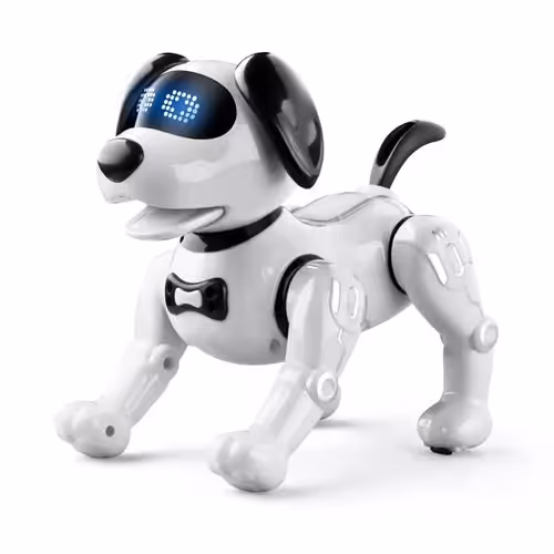Soneium robo