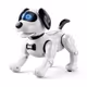 Soneium robo