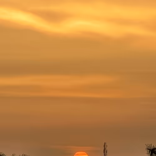 The Sun Will Rise and We Will Try Again