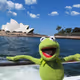 Kermit Sony